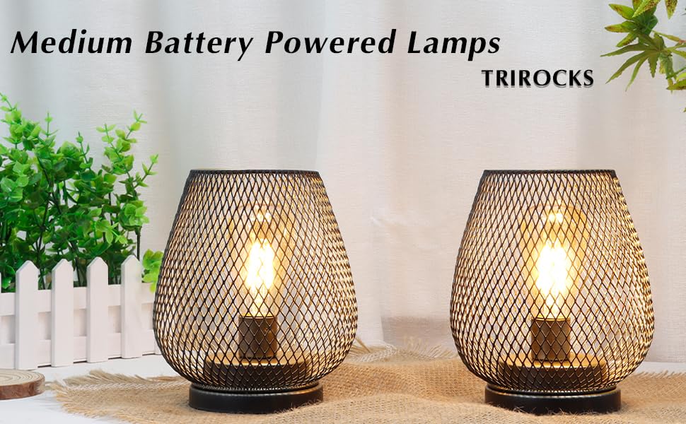 Battery Operated Lamp