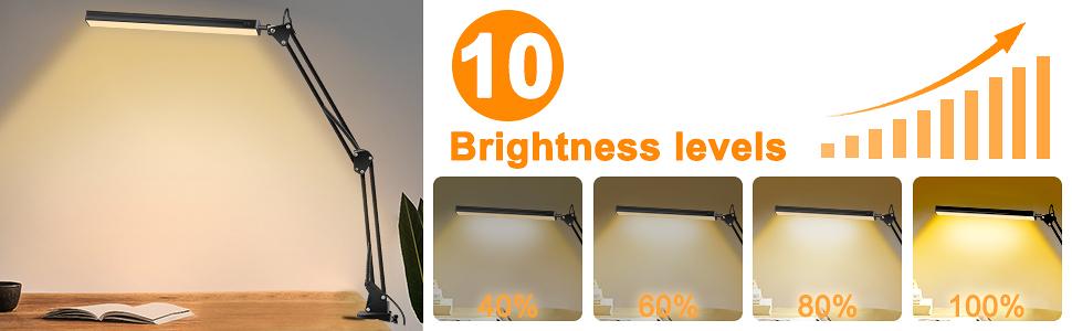 LED Desk Lamp