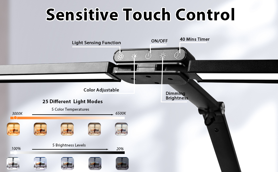 LED Desk Light