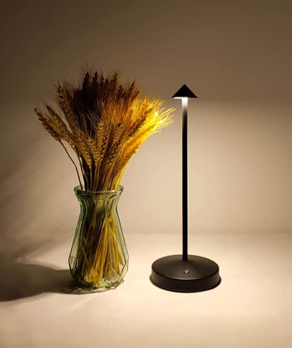 Cordless Table Lamp,Modern Black Battery Operated Table lamp,Portable LED Touch 2 Levels Brightness Dimmable Bar Lamp,Battery Powered Lamp for Bars,Restaurant,Living Room