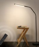 Floor Light with Remote, 360 Degree Rotating Gooseneck Adjustment, 3 Color Modes Stepless Brightness, Living Room Piano Metal Standing Light??