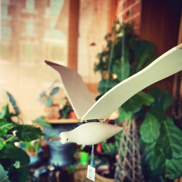 Handmade Wooden Gull